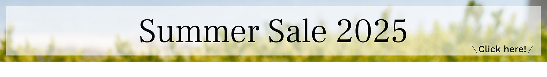 Summer Sale 2025
